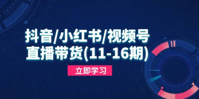（14611期）抖音/小红书/视频号/直播带货(11-16期)，快速掌握平台规则，打造爆款内容-旭彭网络资源基地