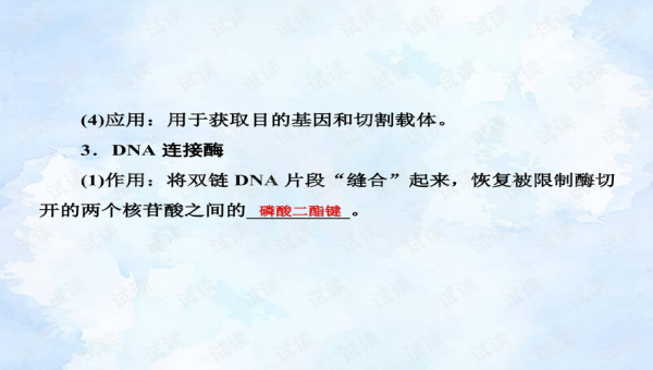 GitHub Codespaces 网络代理配置：PAC 文件与全局代理切换-旭彭网络资源基地