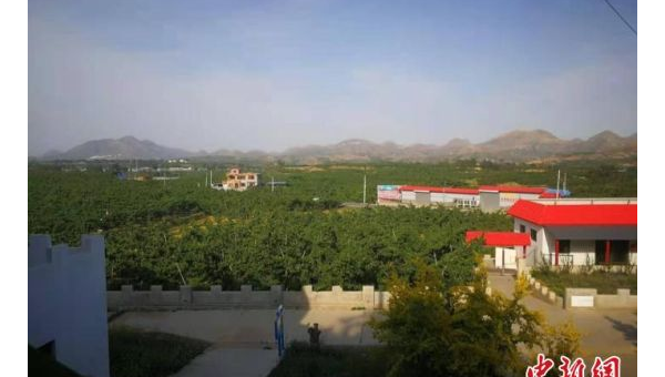 Clang Format 风格迁移：旧项目代码规范的自动化适配