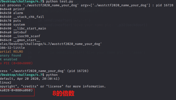 GCC 堆栈溢出保护：-fstack-clash-protection 选项深度解析