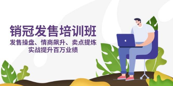 （14203期）销冠 发售培训班：发售 操盘+情商 飙升+卖点 提炼，实战提升百万业绩-旭彭网络资源基地