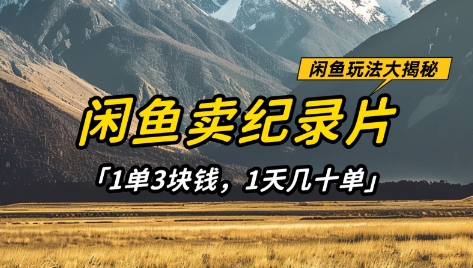 闲鱼卖纪录片1单3块钱，1天几十单，项目稳定有潜力-旭彭网络资源基地