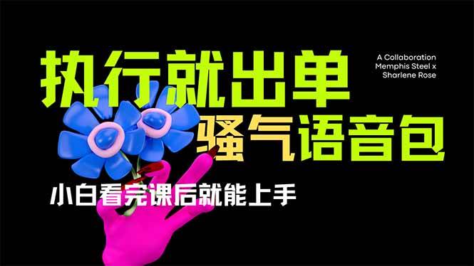 （14170期）爆火全网的开车导航骚气语音包,只要执行就出单，小白看完课程就能实操…-旭彭网络资源基地